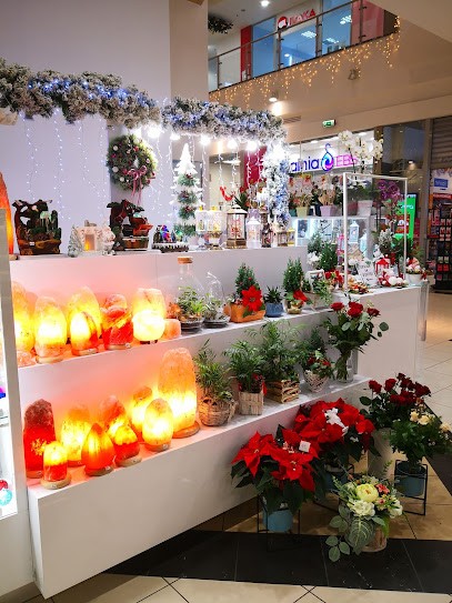 Kwiaciarnia Sunflower, Kwiaciarnia w Sosnówiec