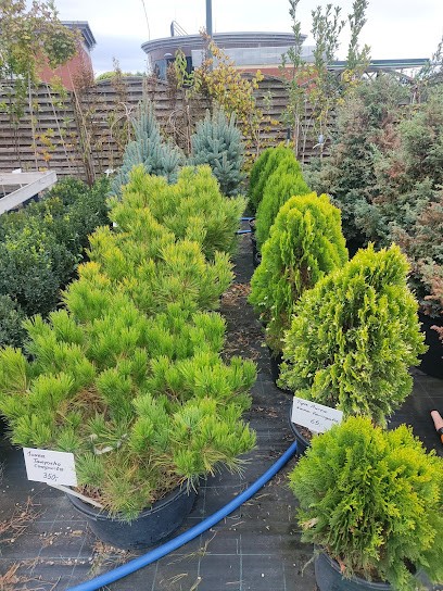 Ogrody Flora Leszno, Kwiaciarnia w Leszno