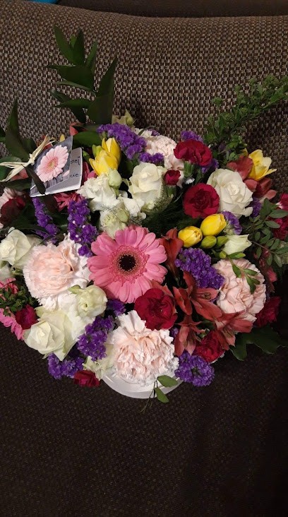 Stokrotka. Kwiaciarnia. Sendal D., Kwiaciarnia w Oława