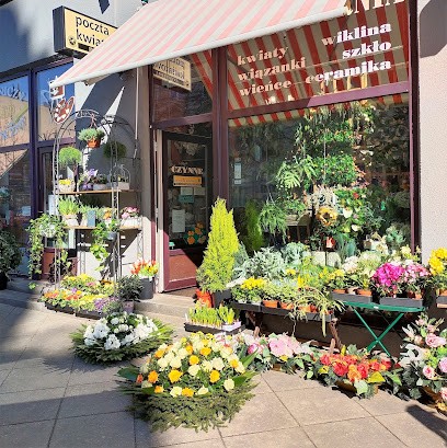 kwiaciarniaina.com | florist Torun, Kwiaciarnia w Toruń