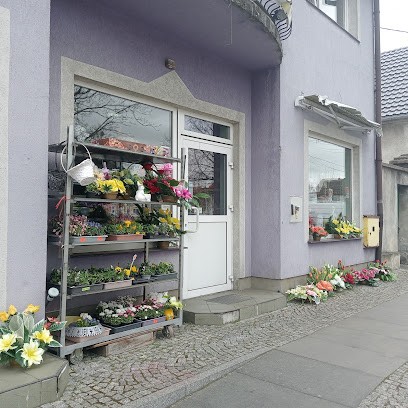 Rzeszowski W. Kwiaciarnia, Kwiaciarnia w Iłowa