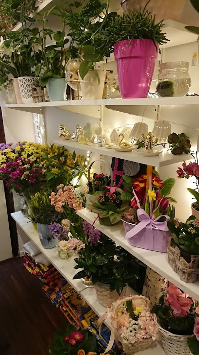 Kwiaciarnia Aleksandra Grzonka, Kwiaciarnia w Gdańsk