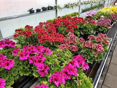 Ogrodnictwo T.S. Sajan, Kwiaciarnia w Wrocław