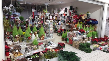 Kwiaciarnia Rosa Pszczyna Bielsko Biała Tychy Żywiec, Kwiaciarnia w Pszczyna