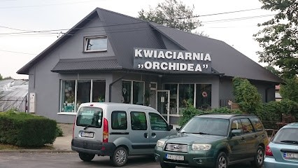 Orchidea. Kwiaciarnia. Mazur R., Kwiaciarnia w Kolbuszowa