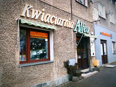 Alfea. Kwiaciarnia Poczta Kwiatowa Sanok, Kwiaciarnia w Sanok