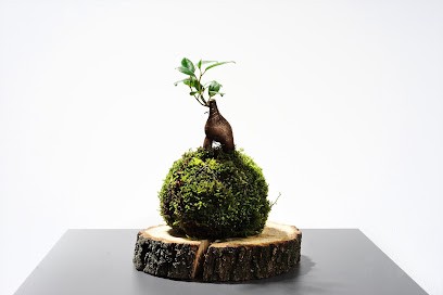 Kwiaty i Kropka, Kwiaciarnia w Wrocław