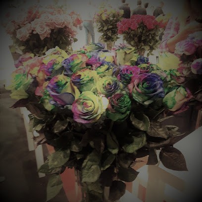 Kwiaciarnia Barbara Bednarek. Kwiaty Cięte I Doniczkowe., Kwiaciarnia w Bydgoszcz