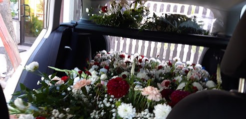 Kwiaciarnia Bukieciarnia, Kwiaciarnia w Sieradz