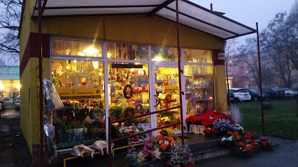 The Company's Florist Narcissus, Kwiaciarnia w Bydgoszcz