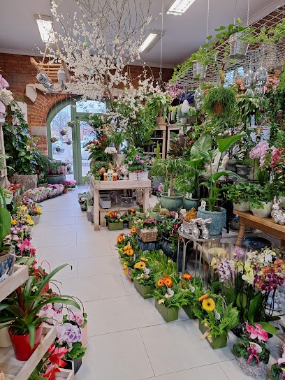 Kwiaciarnia AGAPANTHUS Anna Babicka, Kwiaciarnia w Ostróda