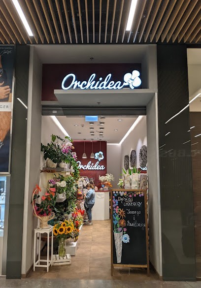 Orchidea, Kwiaciarnia w Wrocław