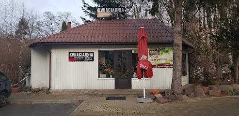 Kwiaciarnia Asterx M.Zdziechowska, Kwiaciarnia w Puławy