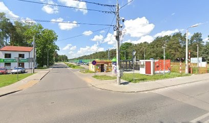 Kwiaciarnia Sosenka, Kwiaciarnia w Międzyborów