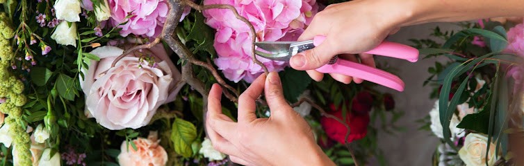 Magnolia, Kwiaciarnia w Kołobrzeg