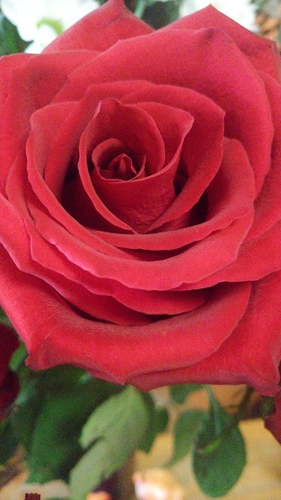 Kwiaciarnia BUKiECiK_Foto-RyŚ, Kwiaciarnia w Żmigród