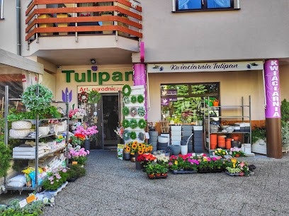KWIACIARNIA TULIPAN, Kwiaciarnia w Międzyzdroje