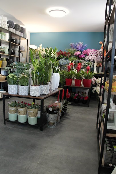 Niezapominajka, Kwiaciarnia w Lipusz