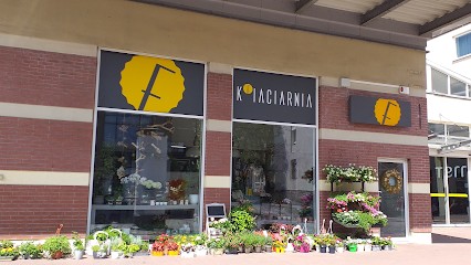 kFiaciarnia Krewetka, Kwiaciarnia w Gdańsk