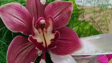 Kwiaciarnia Róża. Miód z własnej pasieki., Kwiaciarnia w Myszków