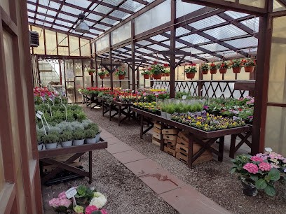 Kwiaty Balkonowe Ulmanowie Gospodarstwo Ogrodnicze, Kwiaciarnia w Rzeszów