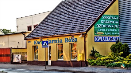 Kwiaciarnia Róża - Krupińska Alina, Kwiaciarnia w Nowe Skalmierzyce