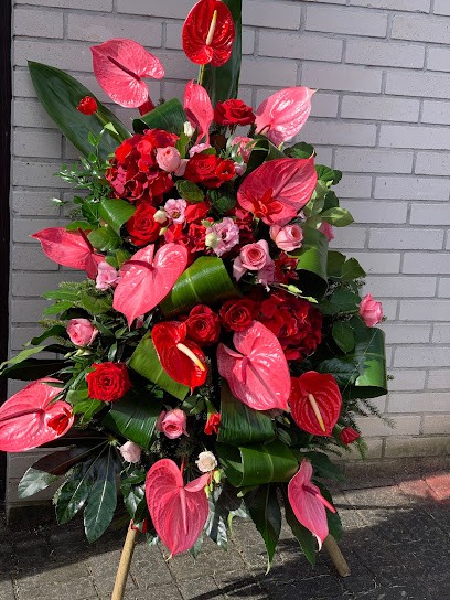 Złocień Kwiaciarnia Elbląg (stara Dębica), Kwiaciarnia w Elbląg