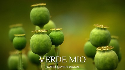 Verde Mio, Kwiaciarnia w Nieporęt