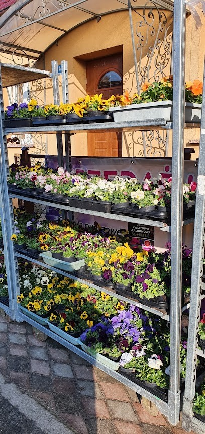 SPRZEDAŻ KWIATÓW WITNICA CHOJEŃSKA, Kwiaciarnia w Witnica