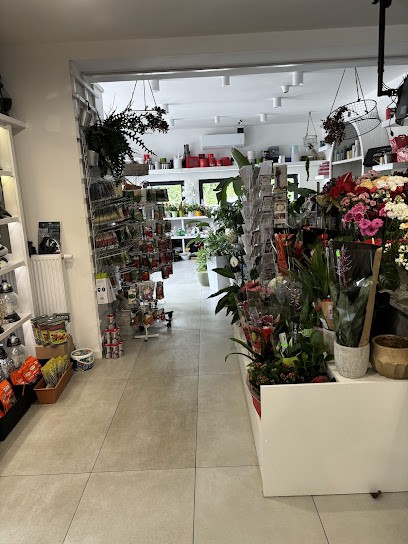 Kwiaciarnia Flora, Kwiaciarnia w Głogów