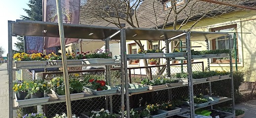 Konicka Danuta. Kwiaciarnia, Kwiaciarnia w Połczyn-Zdrój