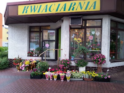 Kwiaciarnia, Kwiaciarnia w Dąbrowa Górnicza