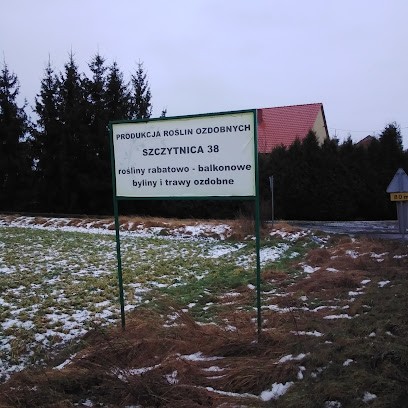 Produkcja roślin ozdobnych, Kwiaciarnia w Szczytnica