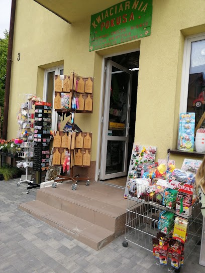 Pokusa. Kwiaciarnia. Gwóźdź J., Kwiaciarnia w Solec-Zdrój