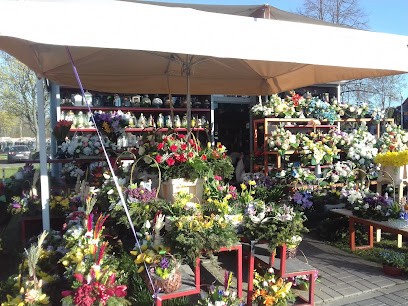 Kwiaciarnia Majdanek Lublin Kwiaciarnia Gabriela Marta Szafranek, Kwiaciarnia w Lublin