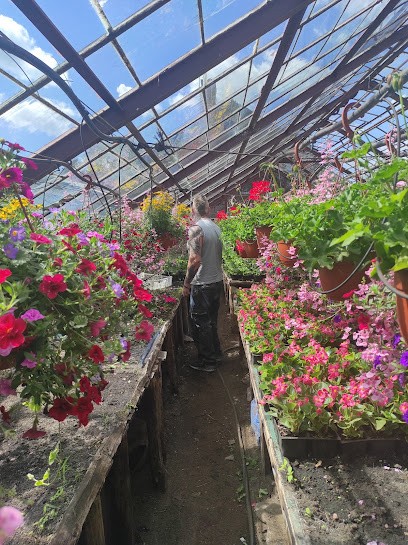 Produkcja sadzonek i kwiatów, Kwiaciarnia w Wasilków