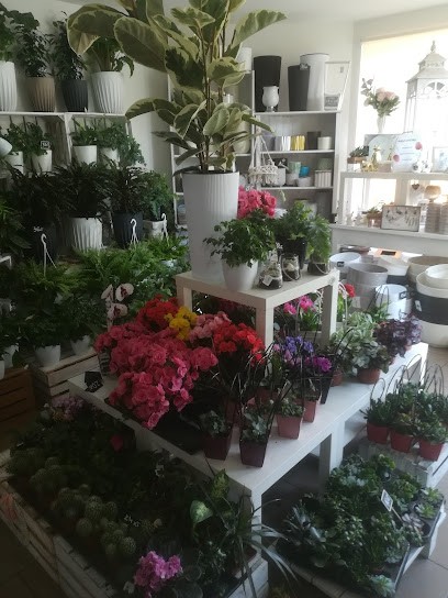 Kwiatem Malowane Monika Tobota, Kwiaciarnia w Sadlinki