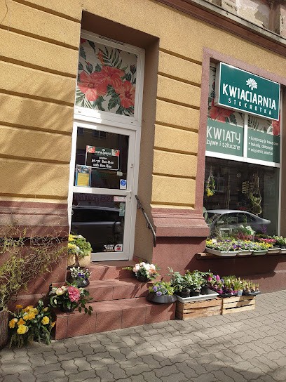 Kwiaciarnia Stokrotka, Kwiaciarnia w Chojnice