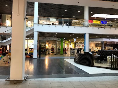 Kwiaciarnia Zielona Ściana, Kwiaciarnia w Gdańsk