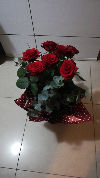 Kwiaciarnia Prestiż Marietta Kurkowiak, Kwiaciarnia w Kotlin