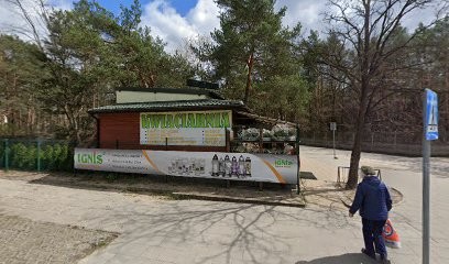 Kwiaciarnia - Maciej Znicze, Kwiaciarnia w Otwock