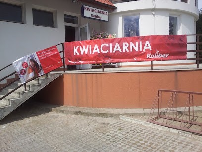 Firma Usługowo-Handlowa KOLIBER Jolanta Pyłka, Kwiaciarnia w Skopanie