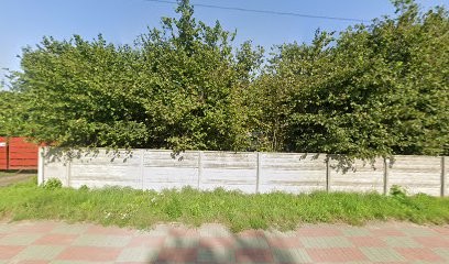 Mielczarek Olga. Ogrodnictwo, Kwiaciarnia w Częstochowa