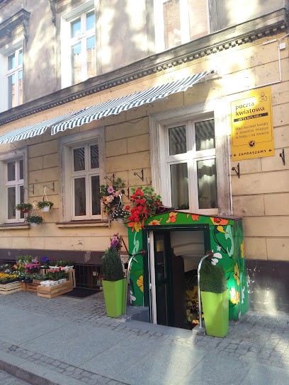 Anna. Kwiaciarnia. Sokołowska A., Kwiaciarnia w Toruń