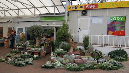 Toskana. Kwiaciarnia, Kwiaciarnia w Szczecin
