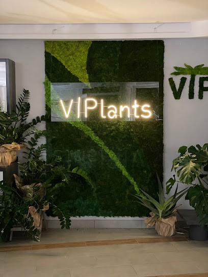 VIPlants, Kwiaciarnia w Konstantynów Łódzki