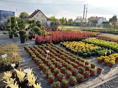 Szkółka Roślin Ozdobnych, Kwiaciarnia w Sosnówka