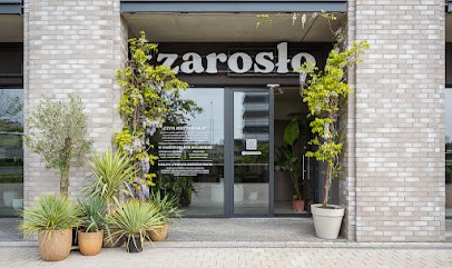 Zarosło, Kwiaciarnia w Wrocław