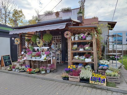 Taka Mała Kwiaciarnia Joanna Teper-Truty, Kwiaciarnia w Krąków