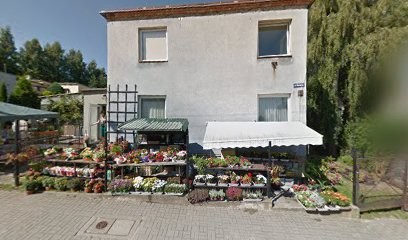 Martynka. Kwiaciarnia, Kwiaciarnia w Rumia